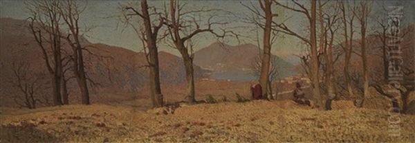 In Val Ceresio, Varese Febbraio - view 1