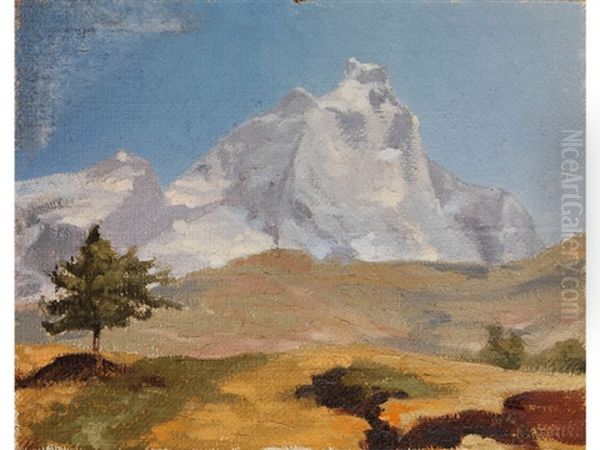 Blick Auf Einen Berggipfel - view 1