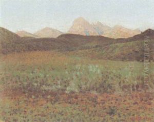 Sommerliche Landschaft Sommerliche Landschaft