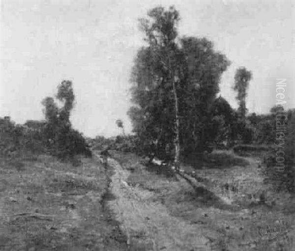 Landschaft Mit Feldweg - view 1