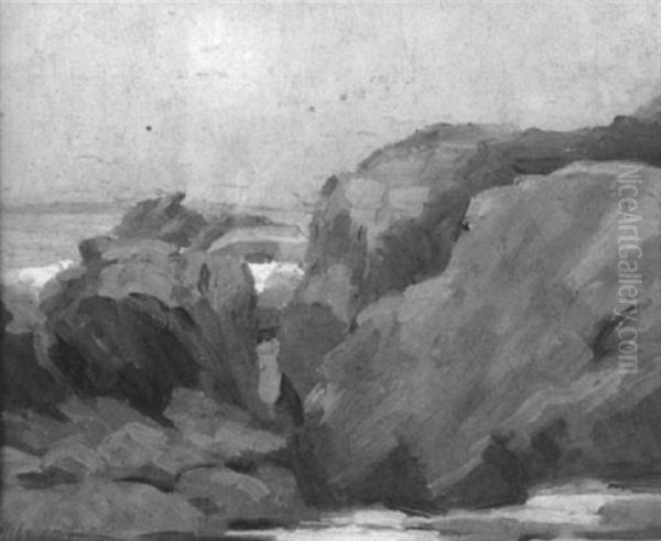 The Coast Of Laguna, California - view 1