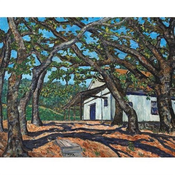 Interlacing Branches, Jack London's Ranch, Glen Ellen - view 1