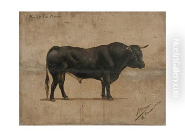 Toro De Moruve - view 1