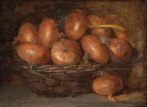 Cebollas