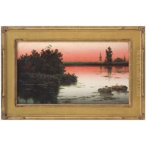 Atardecer En Una Laguna