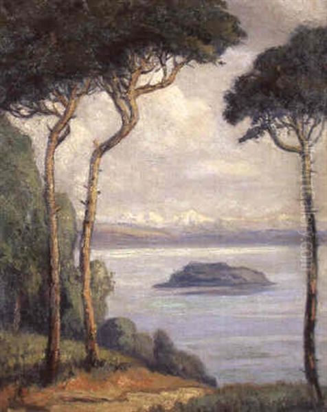 Blick Auf Den Bielersee Und Die Alpen - view 1