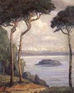 Blick Auf Den Bielersee Und Die Alpen by Emile Alder