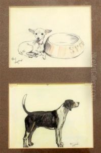 Study Of A Chihuahua Beside A Water Bowl; Study Of A Beagle (2 Works) by Cecil Charles Aldin