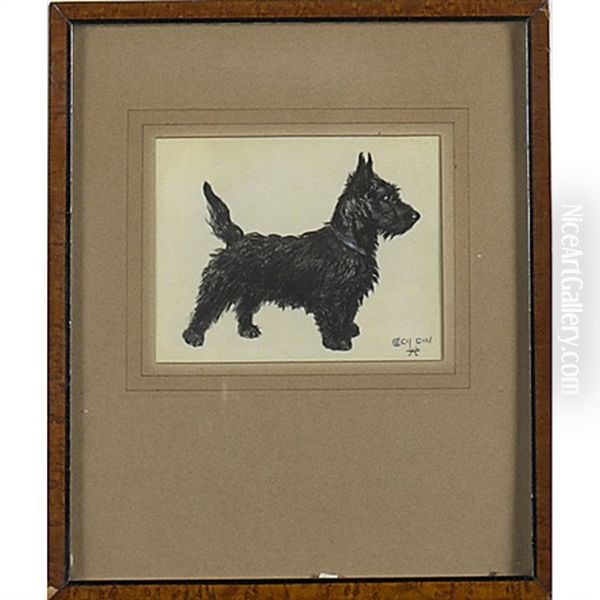 Scottie - view 1