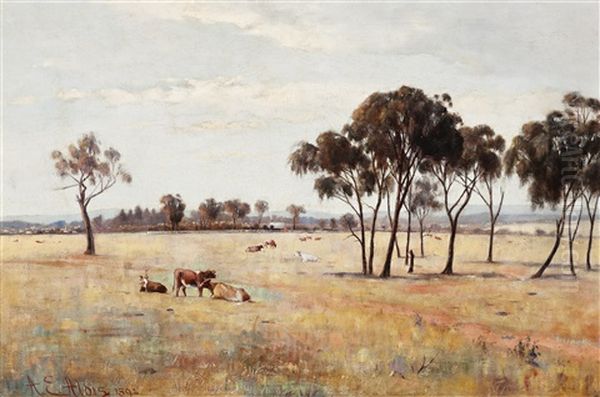 Royal Park, Melbourne - Summer - view 1
