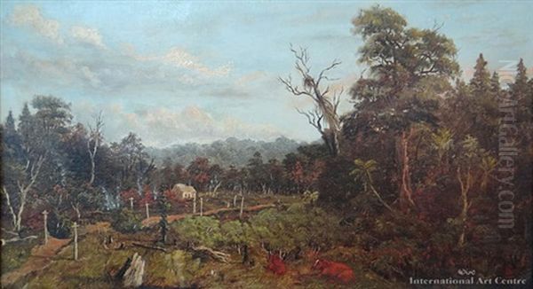 On The Old Mahurangi Road Near Puhoi - view 1