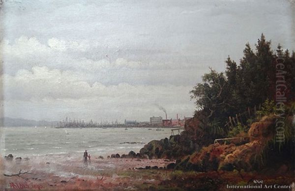 Auckland Harbour - view 1