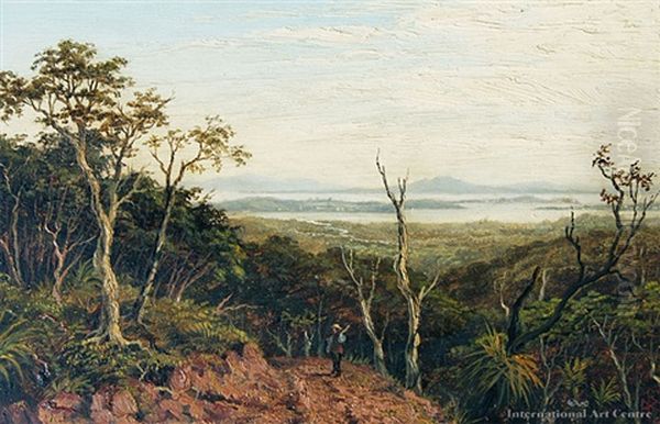 Auckland Harbor From Putumatiki Hill, Waitakere Ranges - view 1