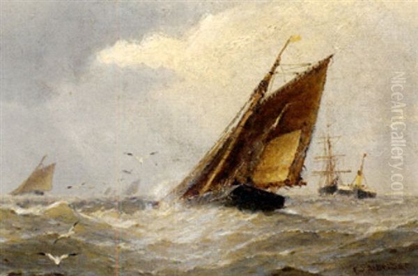 Marine Mit Segelbooten Bei Frischer Brise - view 1