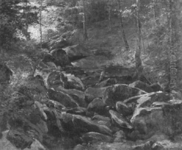 Moss Covered Rocks - view 1