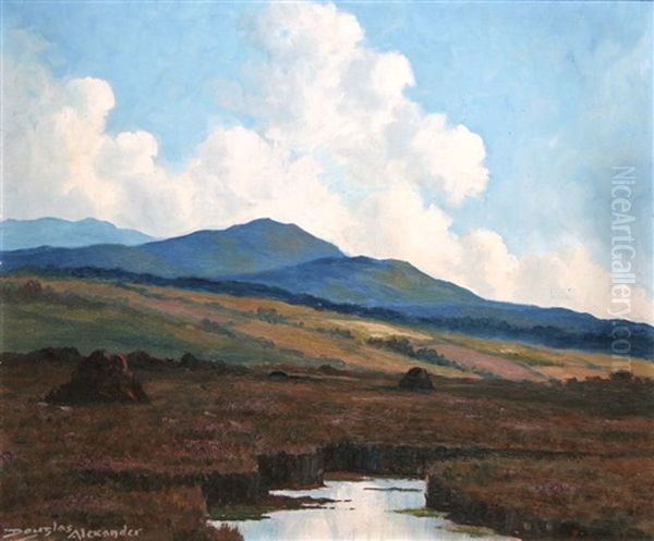 Near Recess, Connemara - view 1