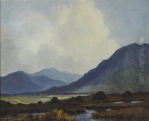 Turf Stacks, Near Leenane, Connemara by Douglas Alexander