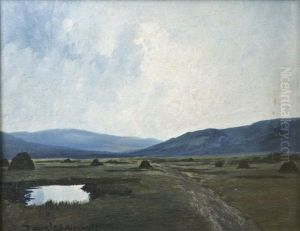 Bog, Donegal