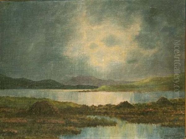 Turf Stacks, West Of Ireland - view 1