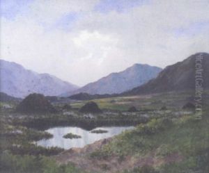 Connemara Landscape At Recess by Douglas Alexander