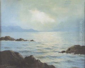 Kerry Coast Near Waterville by Douglas Alexander