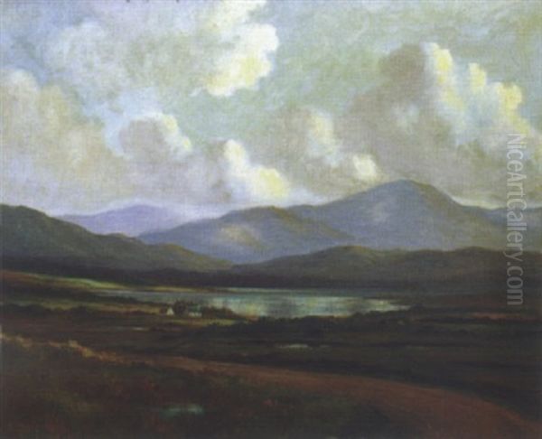 Near Ballinahinch Connemara - view 1