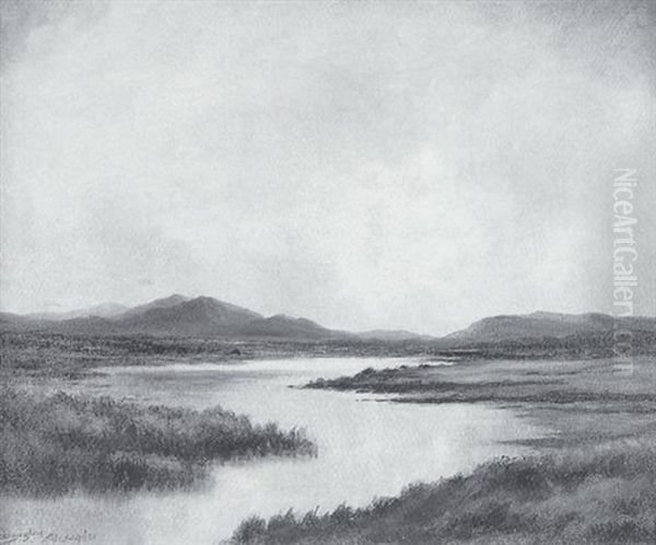Bog Stream Near Ougterard, Connemara - view 1
