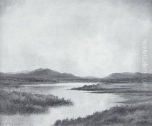 Bog Stream Near Ougterard, Connemara by Douglas Alexander