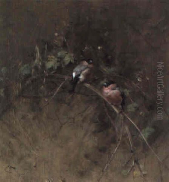 Bullfinches In A Blackberry Thicket - view 1