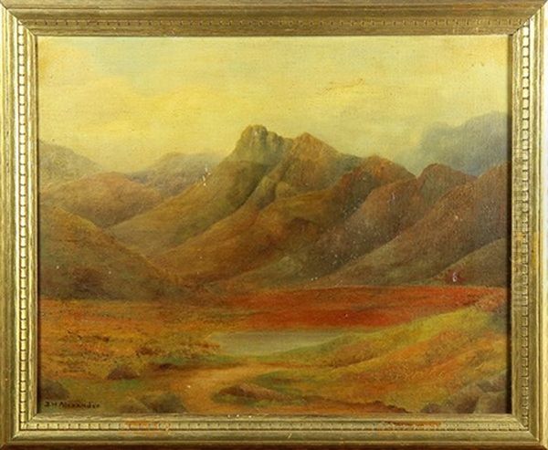 Mountain Vista - view 1