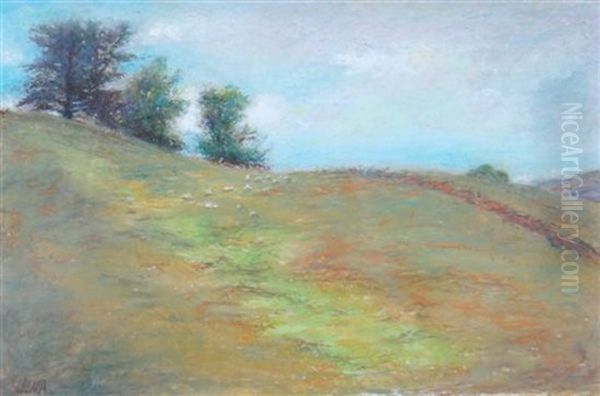 Summer Landscape - view 1