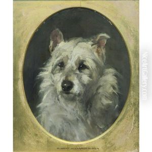 Portrait Of A Cairn Terrier