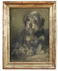 Study Of A Dandie Dinmont Terrier
