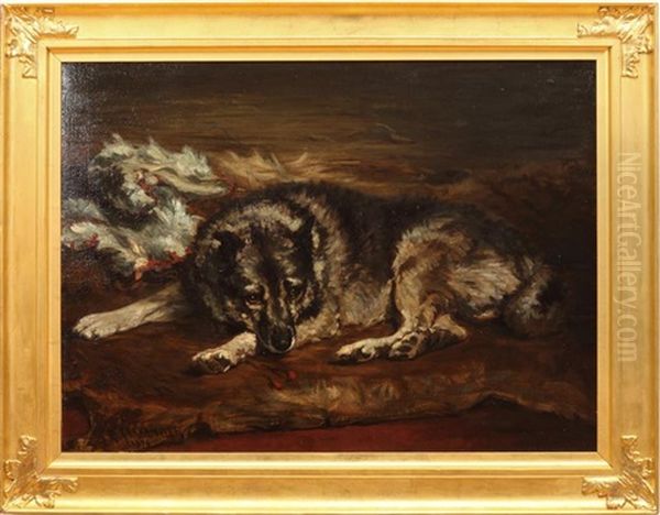 Portrait Of A Malamute, Esquimaux, Elkhound - view 1