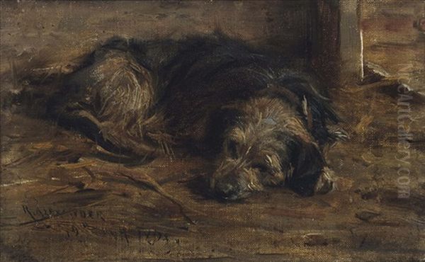 A Sleeping Lurcher - view 1