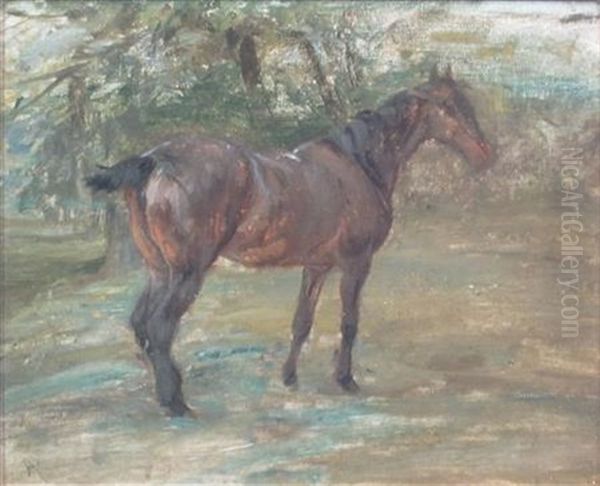 Outdoor Study With Horse - view 1