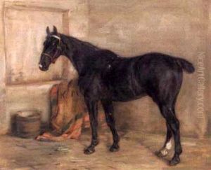 A Hunter In His Stable