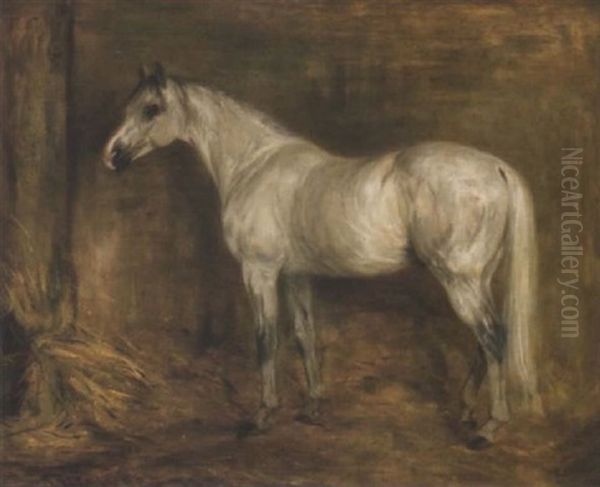 An Arab Mare - view 1
