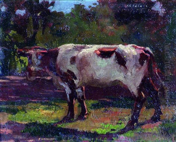 Vaca - view 1