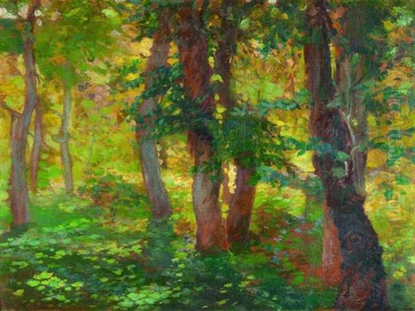 Bosque - view 1