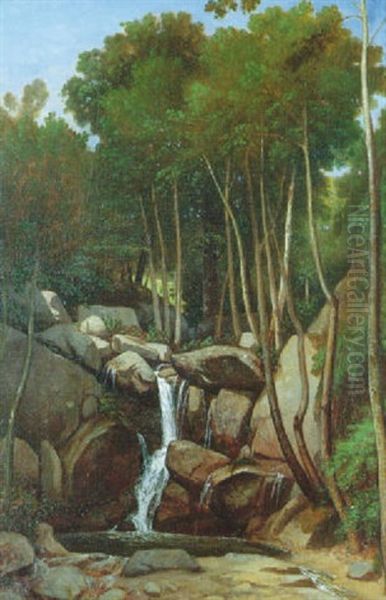 Rochers En Foret De Fontainebleau - view 1