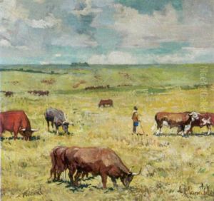 Hirte Mit Buffelherde In Der Afrikanischen Steppe