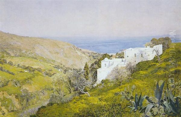 Printemps A Bouzareah, Alger - view 1