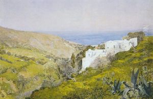 Printemps A Bouzareah, Alger Printemps A Bouzareah, Alger