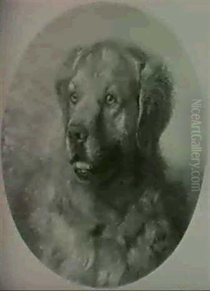Hundeportrait - view 1