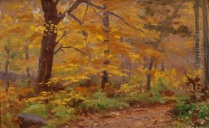 Wooded Landscape, Princeton, Massachusetts, Circa 1910