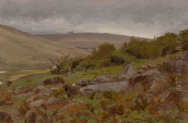 Texas Landscape - view 1