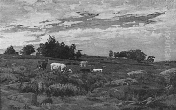 Cows In Pasture - view 1