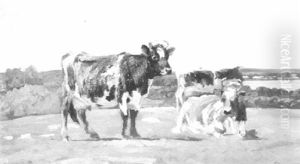 Cows In A Summer Pasture by Thomas Allen Jr.