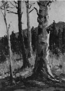 Forest Scene